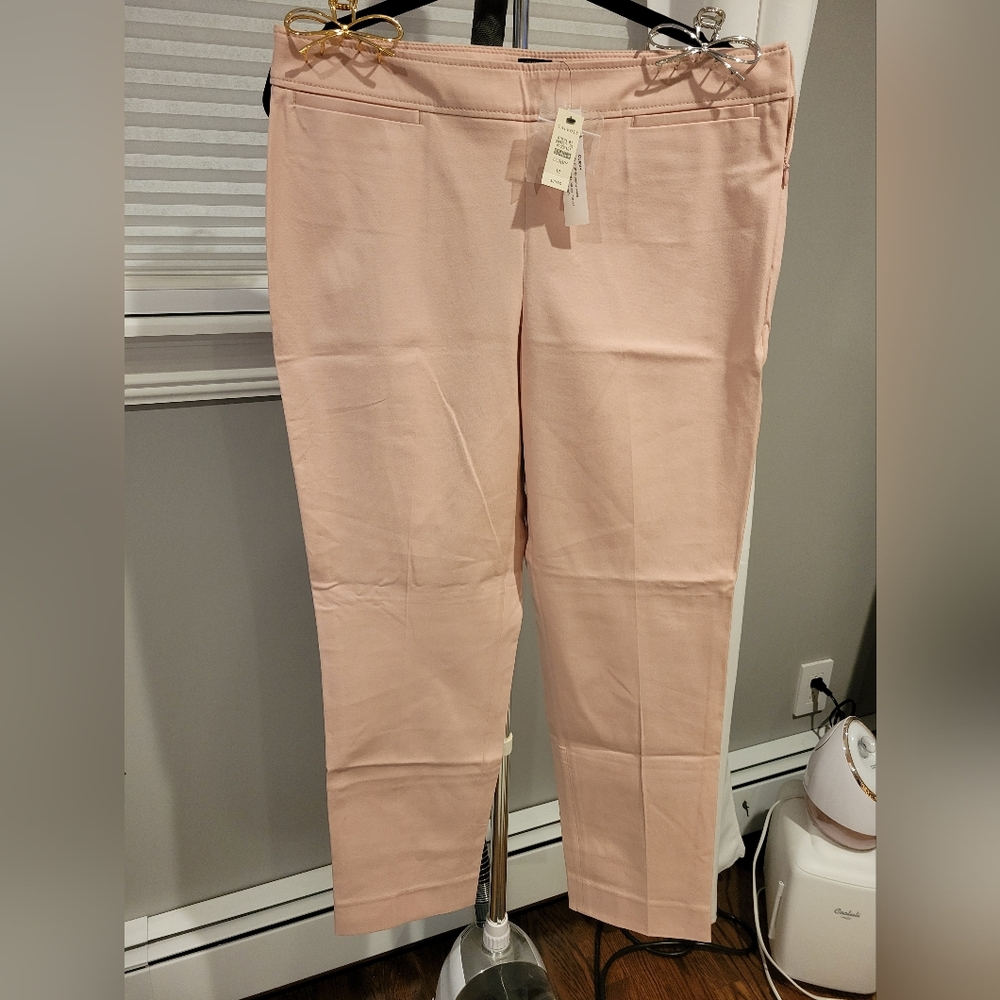 Dusty Rose Talbots Pants